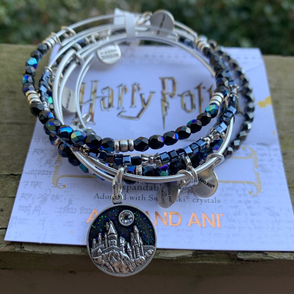 Alex and Ani • Hogwarts Castle 5pc Set
